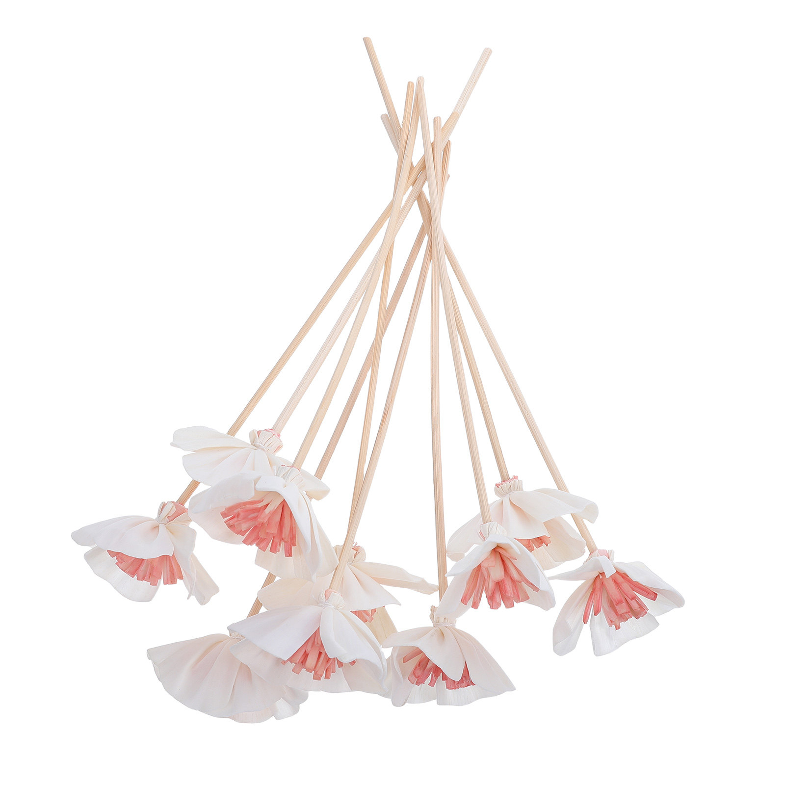 Home Fragrance And Diffuser - 10 stuks etherische olie diffuserstokjes, zwart,