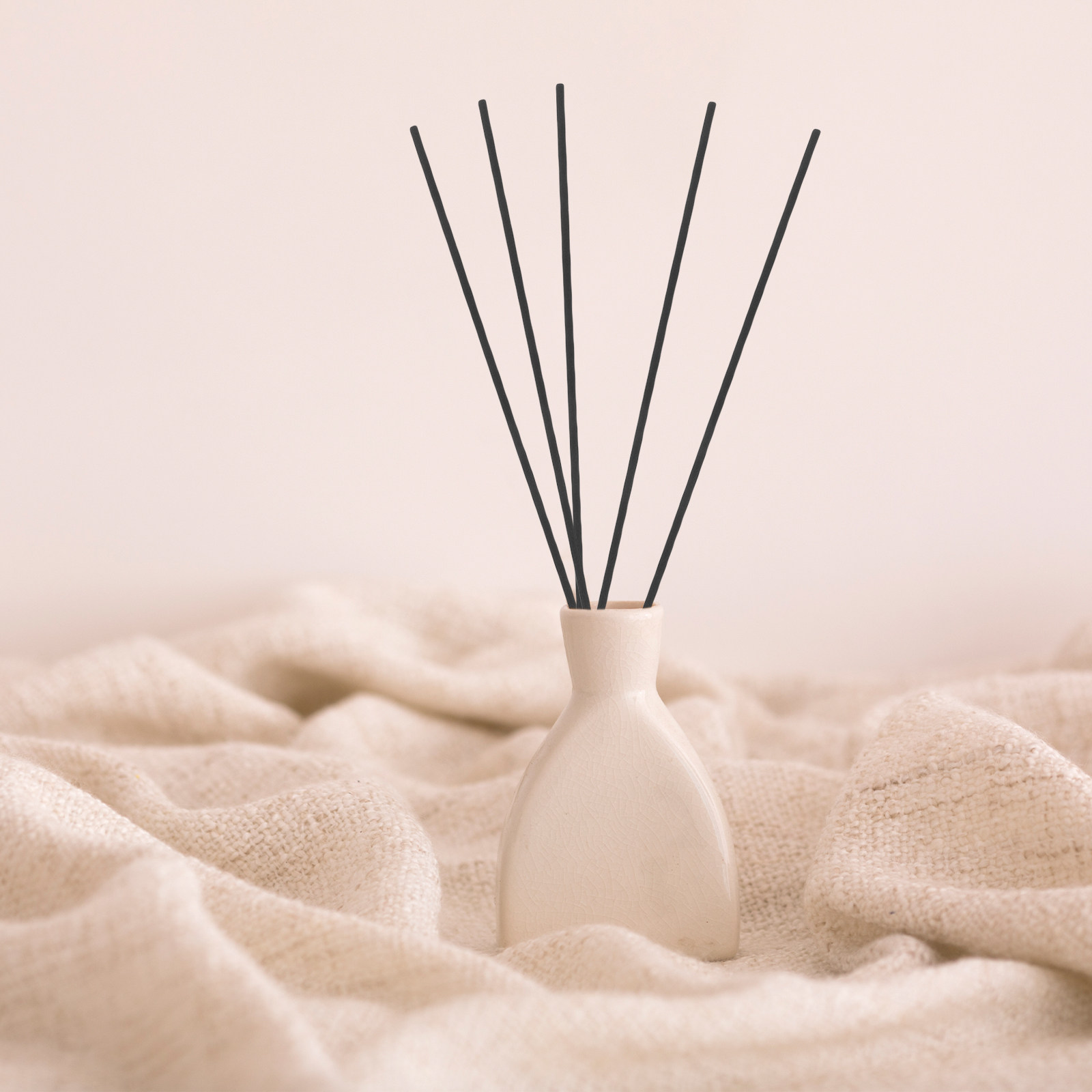 Home Fragrance And Diffuser - 100 Stuks Vezel Riet Diffuser Sticks