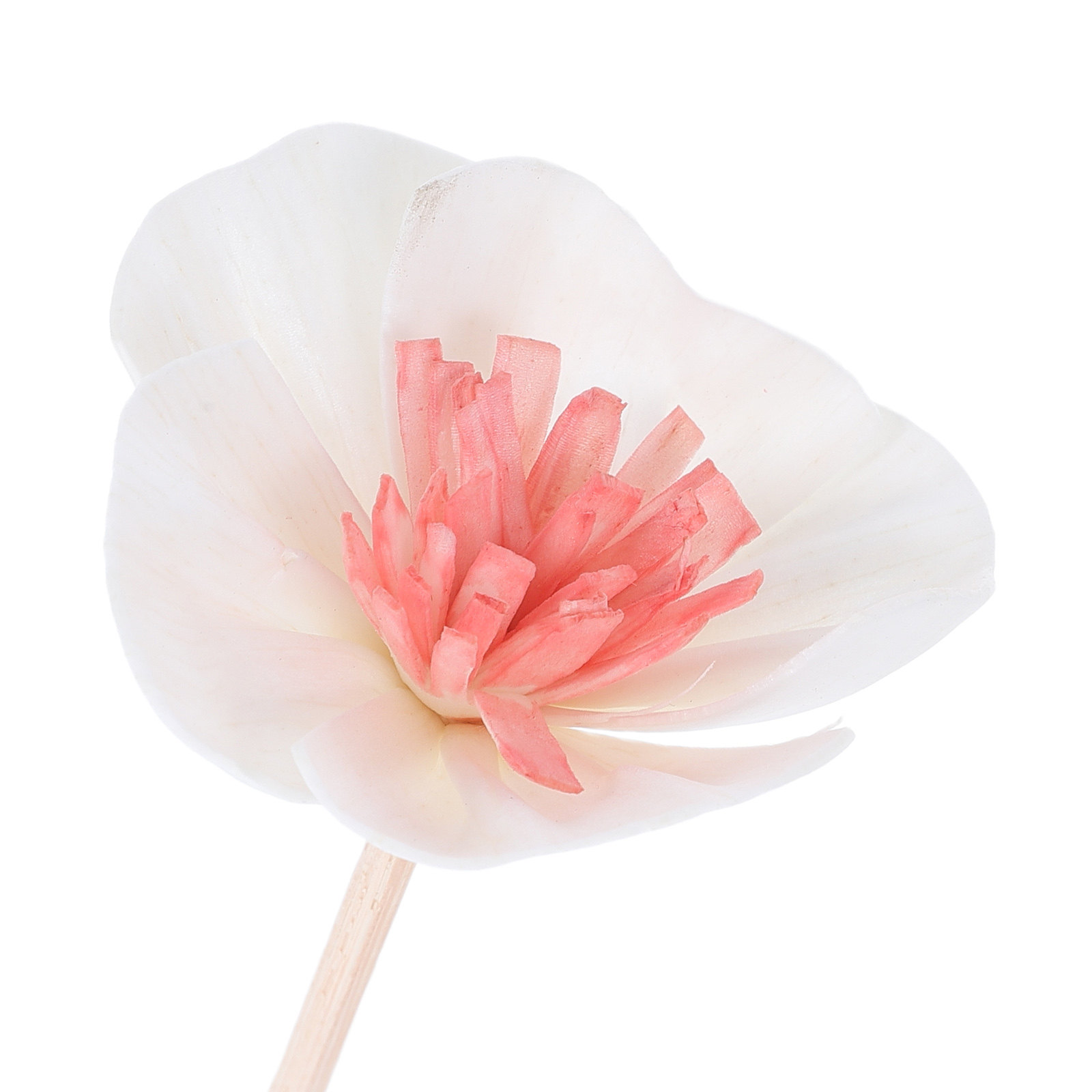10 stuks etherische olie diffu - Home Fragrance And Diffuser recensie en prijs